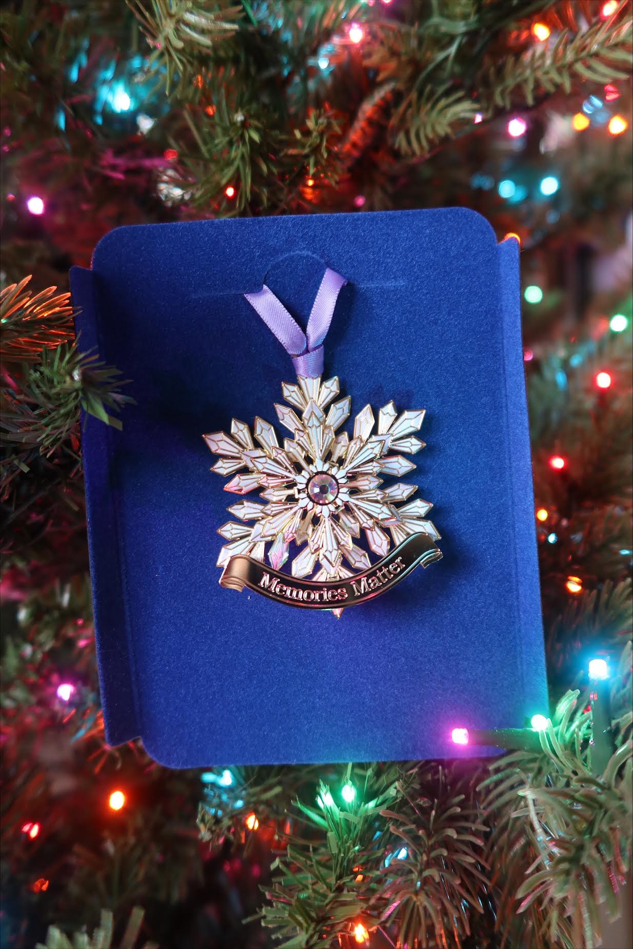 Memories Matter Ornament